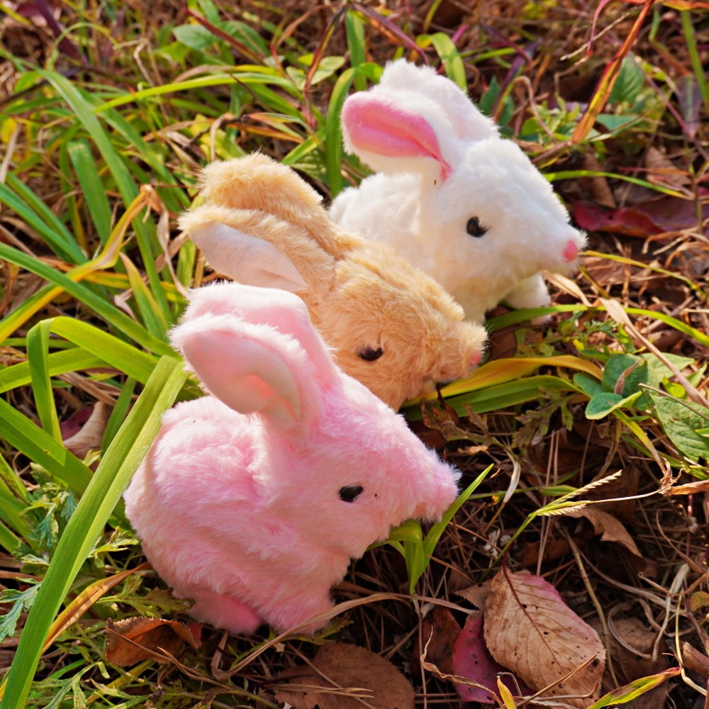 움직이는 토끼 인형 3종 동물 봉제인형 장난감, 1개 12,900원