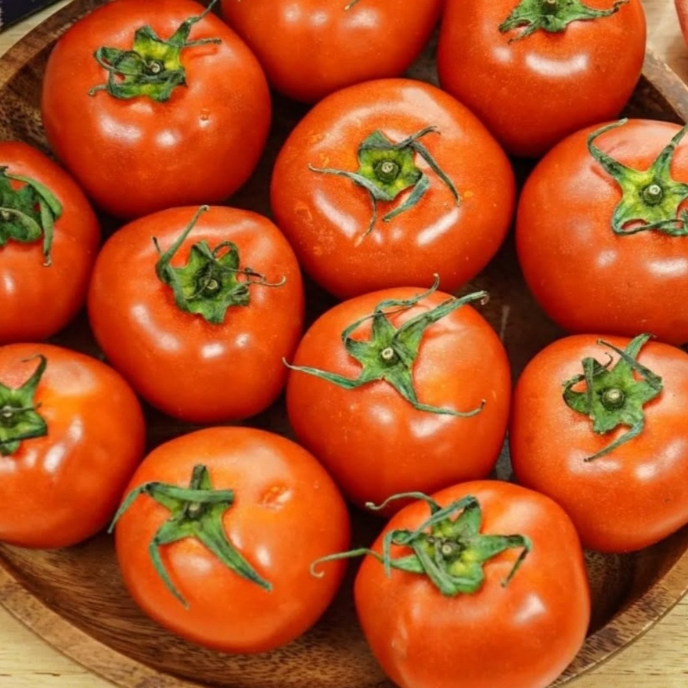 국내산 완숙 토마토 찰토마토 특품 35,800원