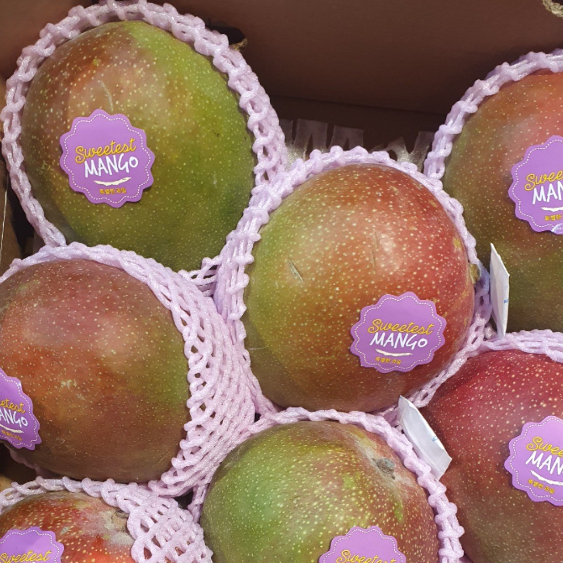 고당도 페루 애플망고 선물세트 4kg, 1세트, 2kg 33,900원