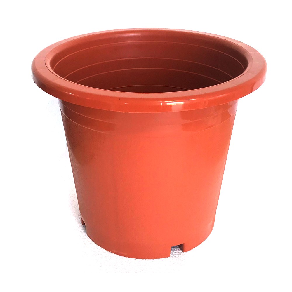 산세분(황토)11호 플라스틱화분 분갈이흙 인테리어, 1개 5,400원