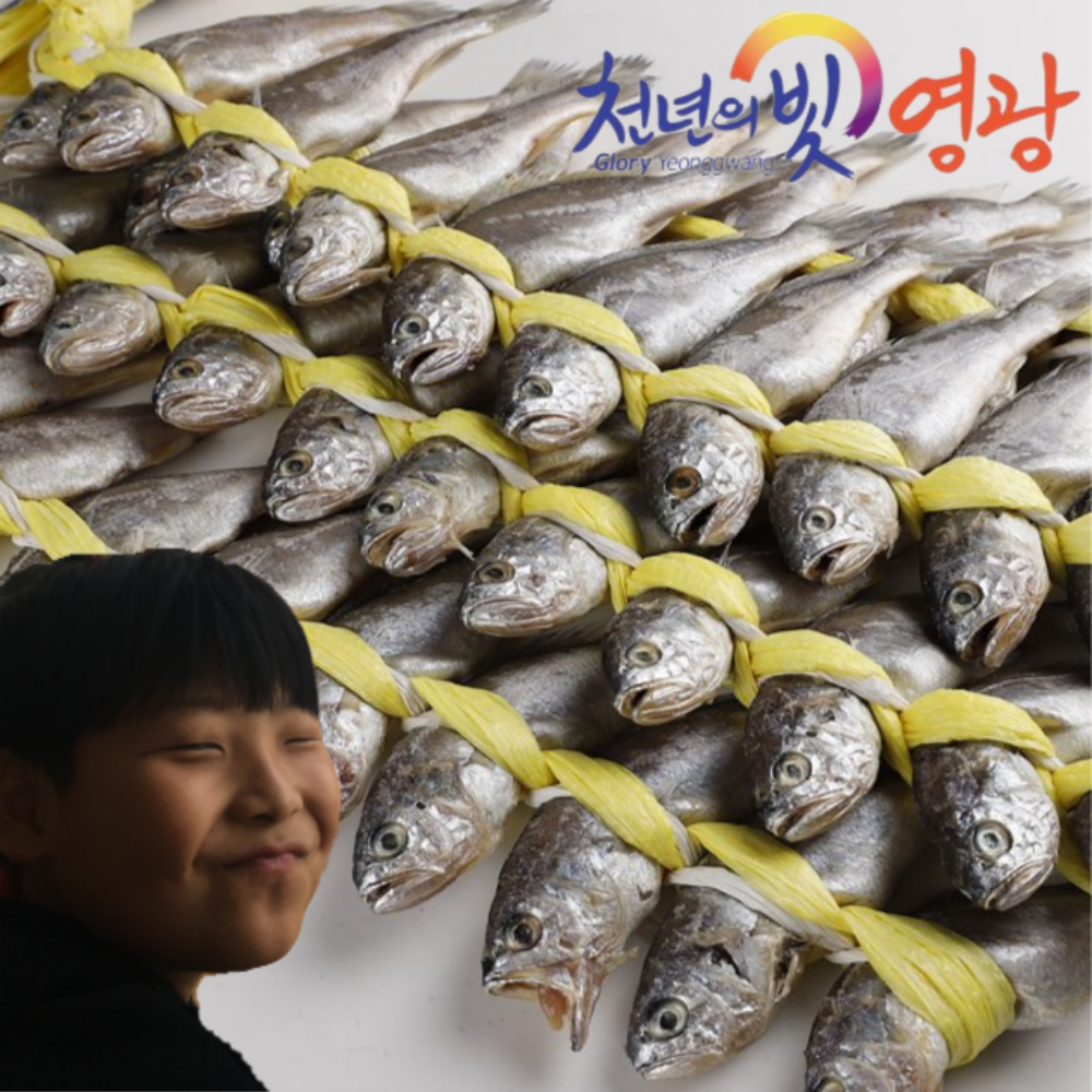 [주영광굴비수산] 국내산 법성포 영광굴비세트 20미 40미 가정용 실속선물세트 참조기 영광굴비직판장 산지직송 110,000원
