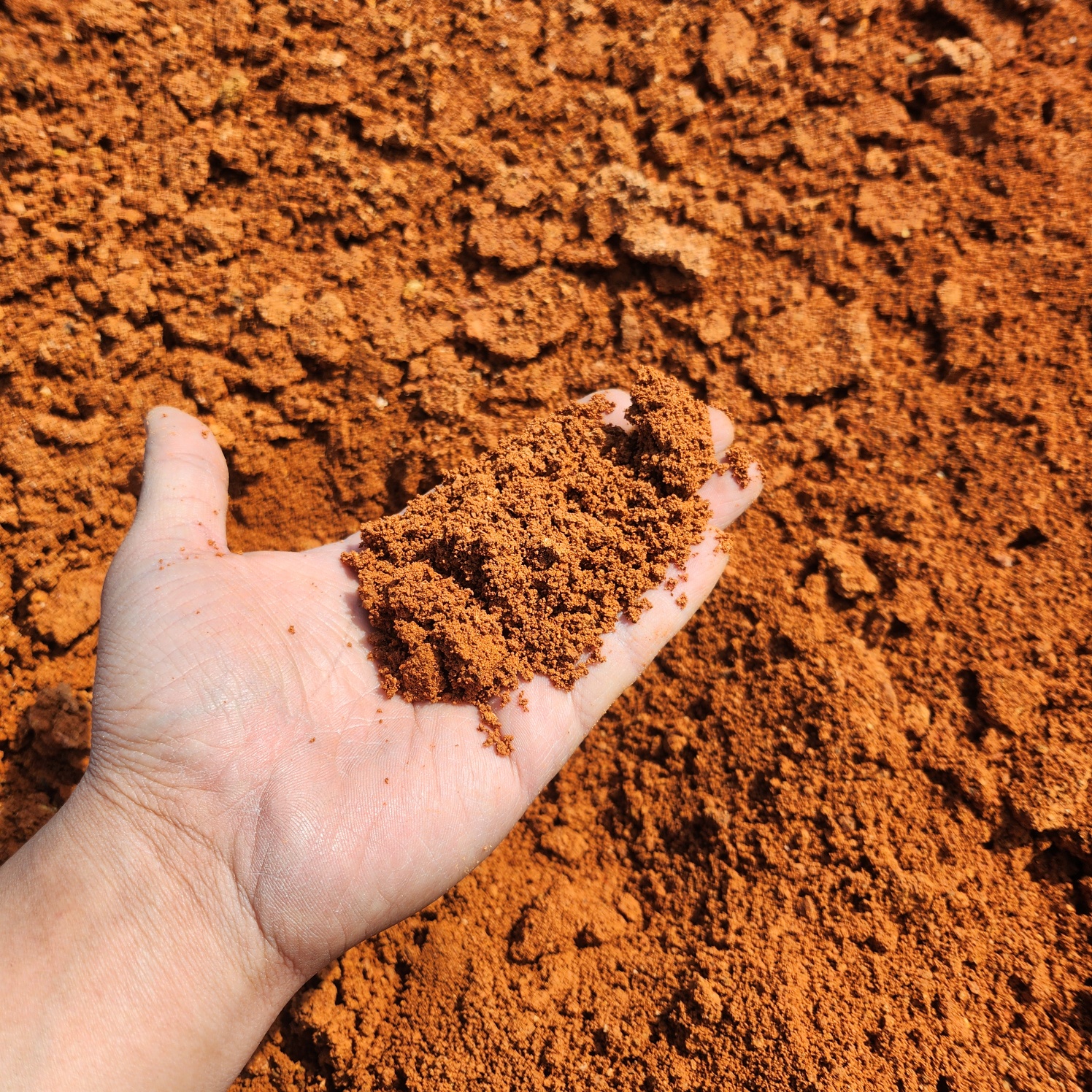 위드블럭 황토흙 황토, 1개, 10kg 6,000원