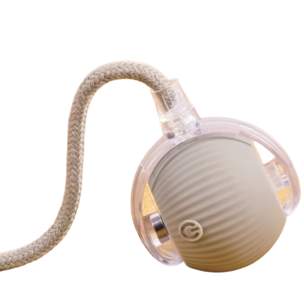 제이셀르 자동으로 움직이는 반려동물 장난감 강아지 자동 공놀이 장난감, 그레이, 1개 14,200원