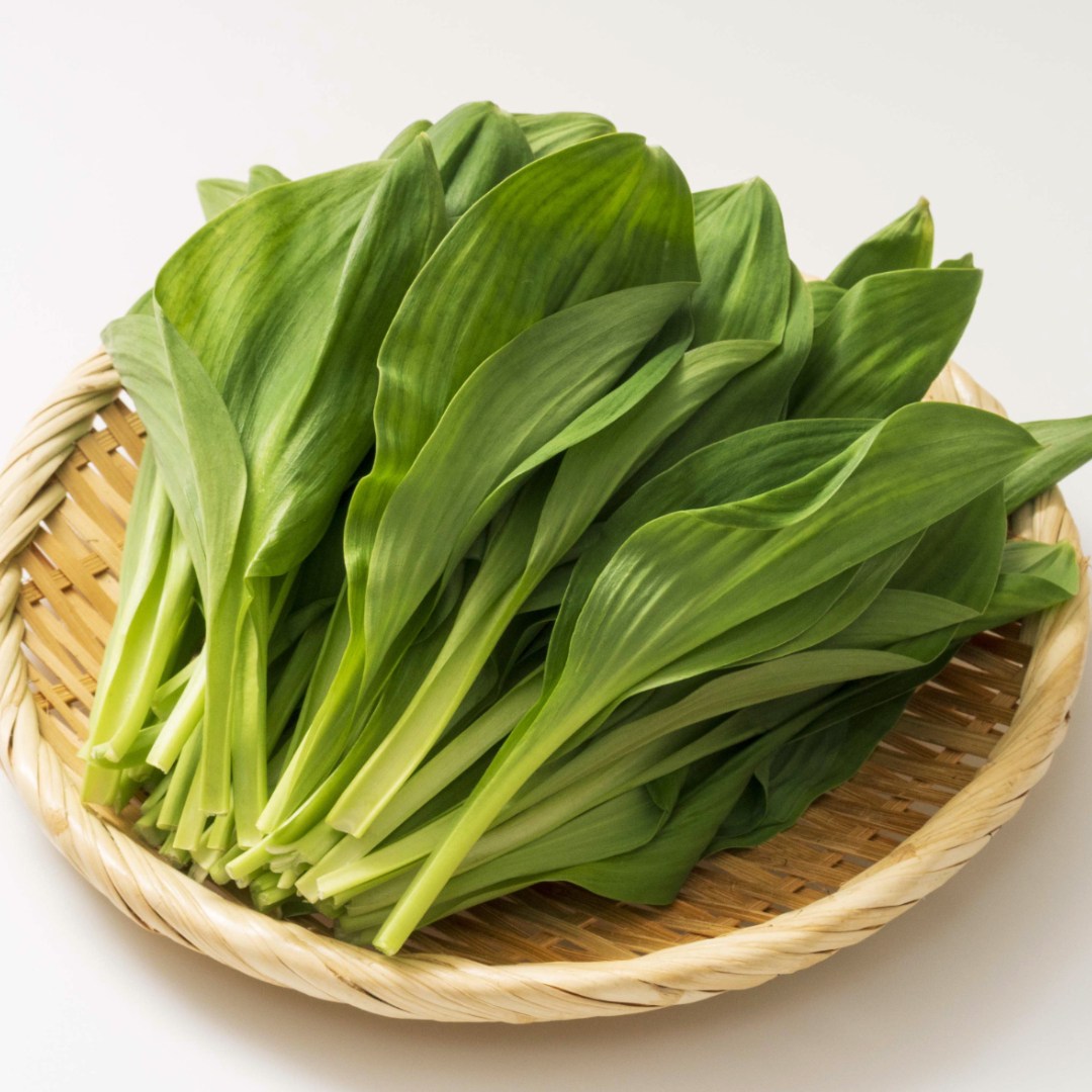 [산지직송] 나물투데이 국내산 명이나물 명이, 1개, 2kg 37,900원