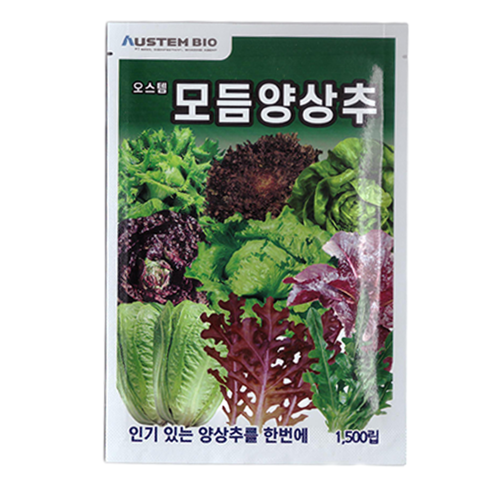 오스템 모듬 양상추 씨앗 1500립, 1개 4,880원