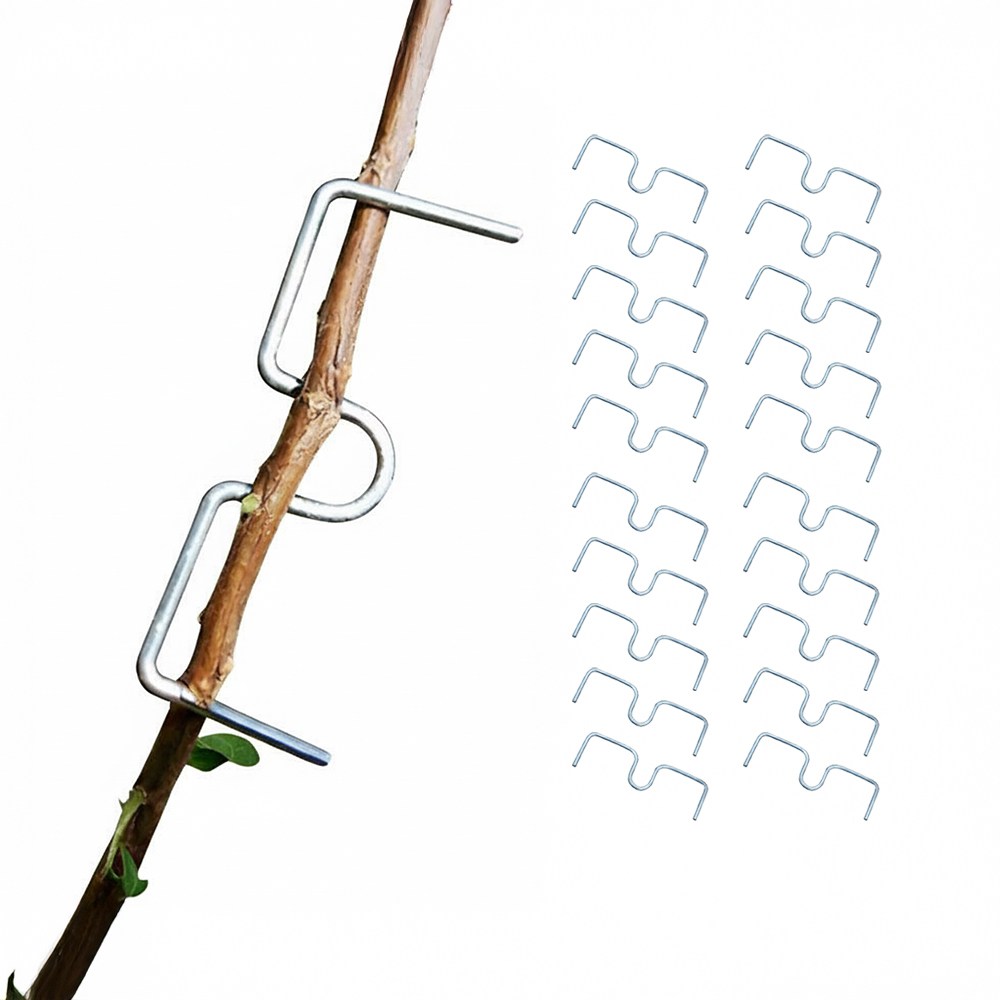 아띠꼴로 잘 휘어지네 가지유인 E클립 사과나무 이클립 50개 소형, 50개 6,900원