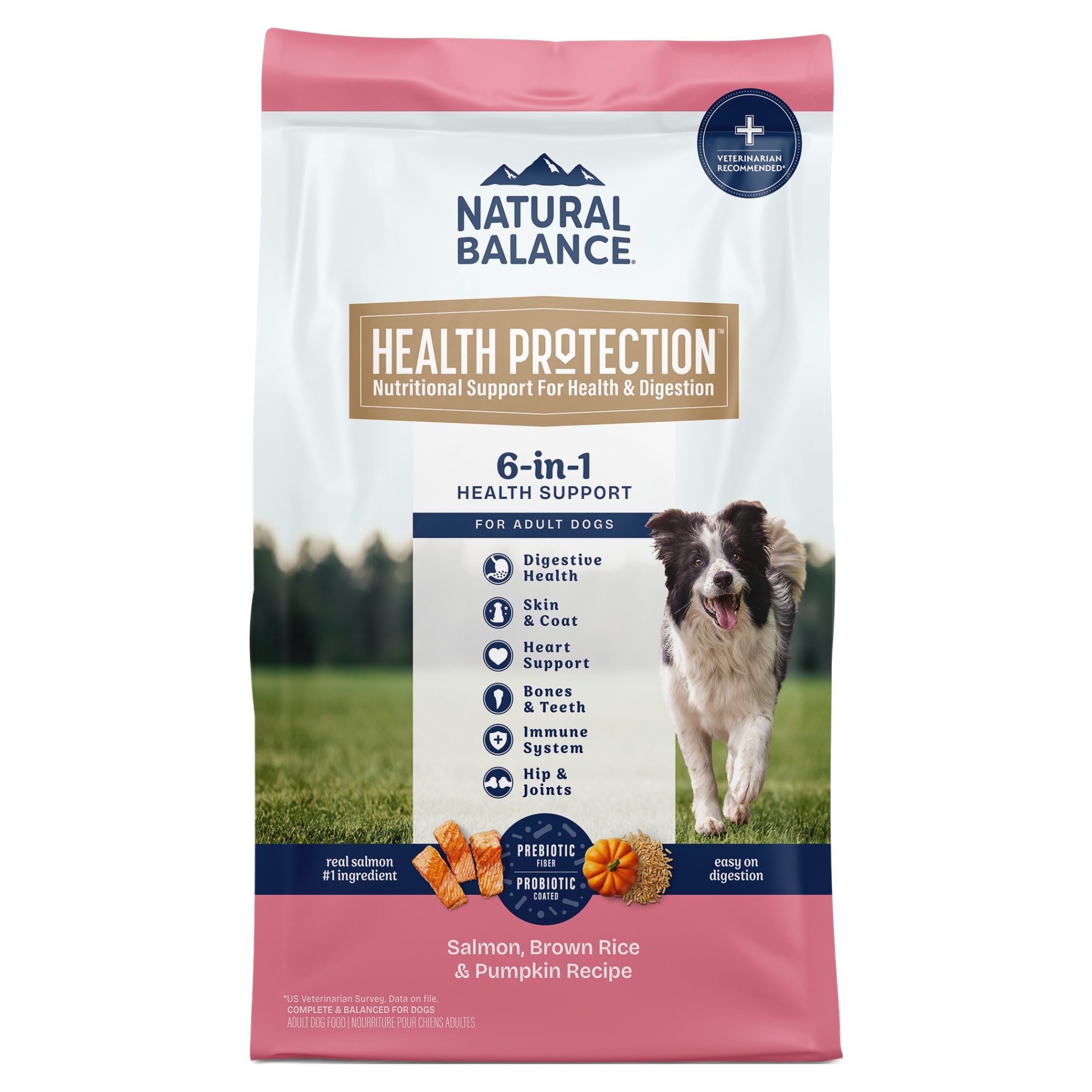 내추럴발란스 어덜트 헬스프로텍션 레시피 도그 건식사료 LARGE, 닭+연어, 9.97kg, 1개 99,430원