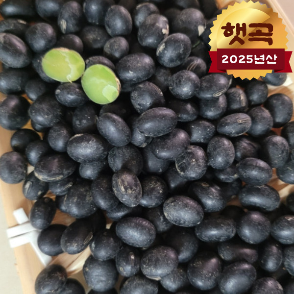 2025년산 [백창섭] 파주장단콩 서리태 1kg - 블랙푸드 끝판왕! 국산 서리태, 5개 91,000원