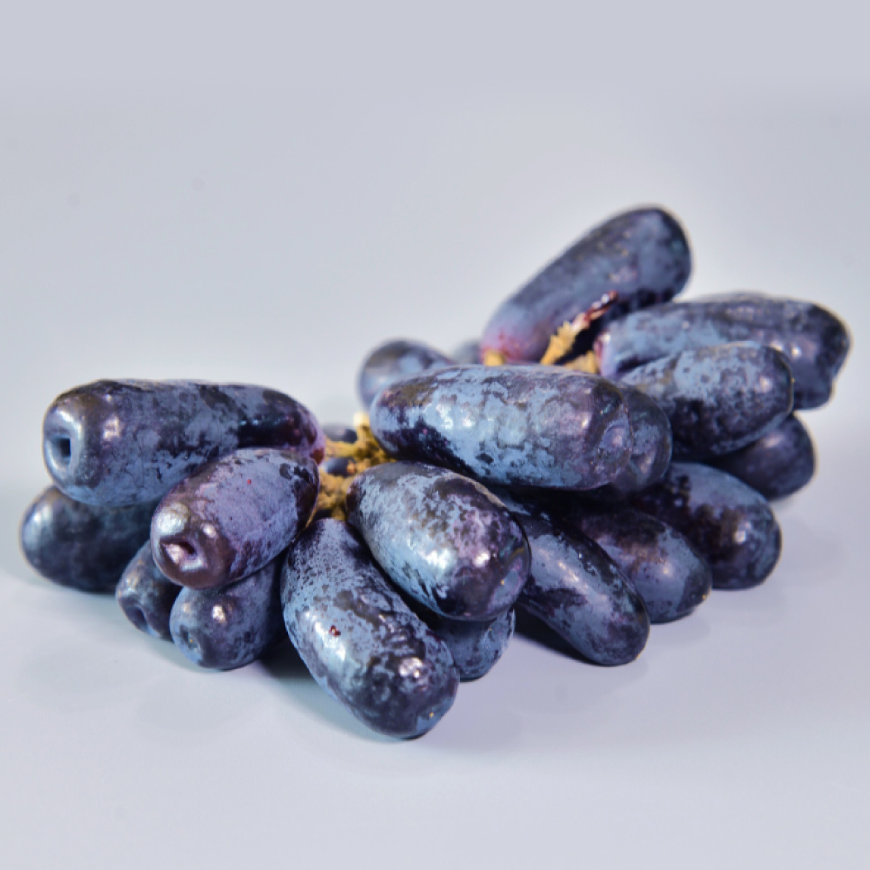 [당도 보장]블랙사파이어 포도 씨없는 가지포도 20Brix, 1박스, 500g 10,000원