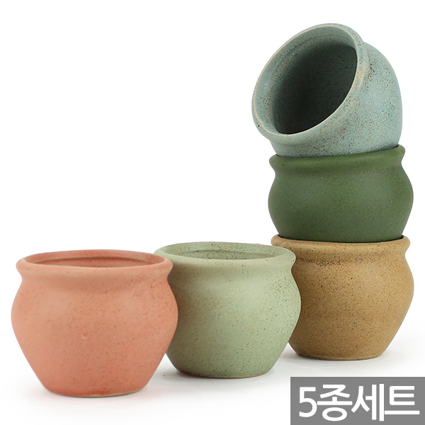 세인화분 칼라 미니 항아리 펄 화분 5P - 미니화분 다육화분 다육이화분 8,900원