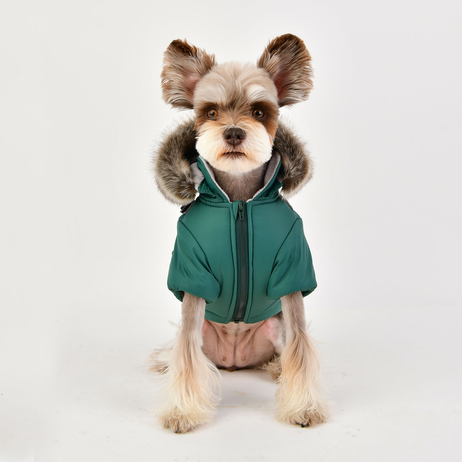 퍼피아 반려동물 벨라미 하네스 패딩 점퍼 71,000원