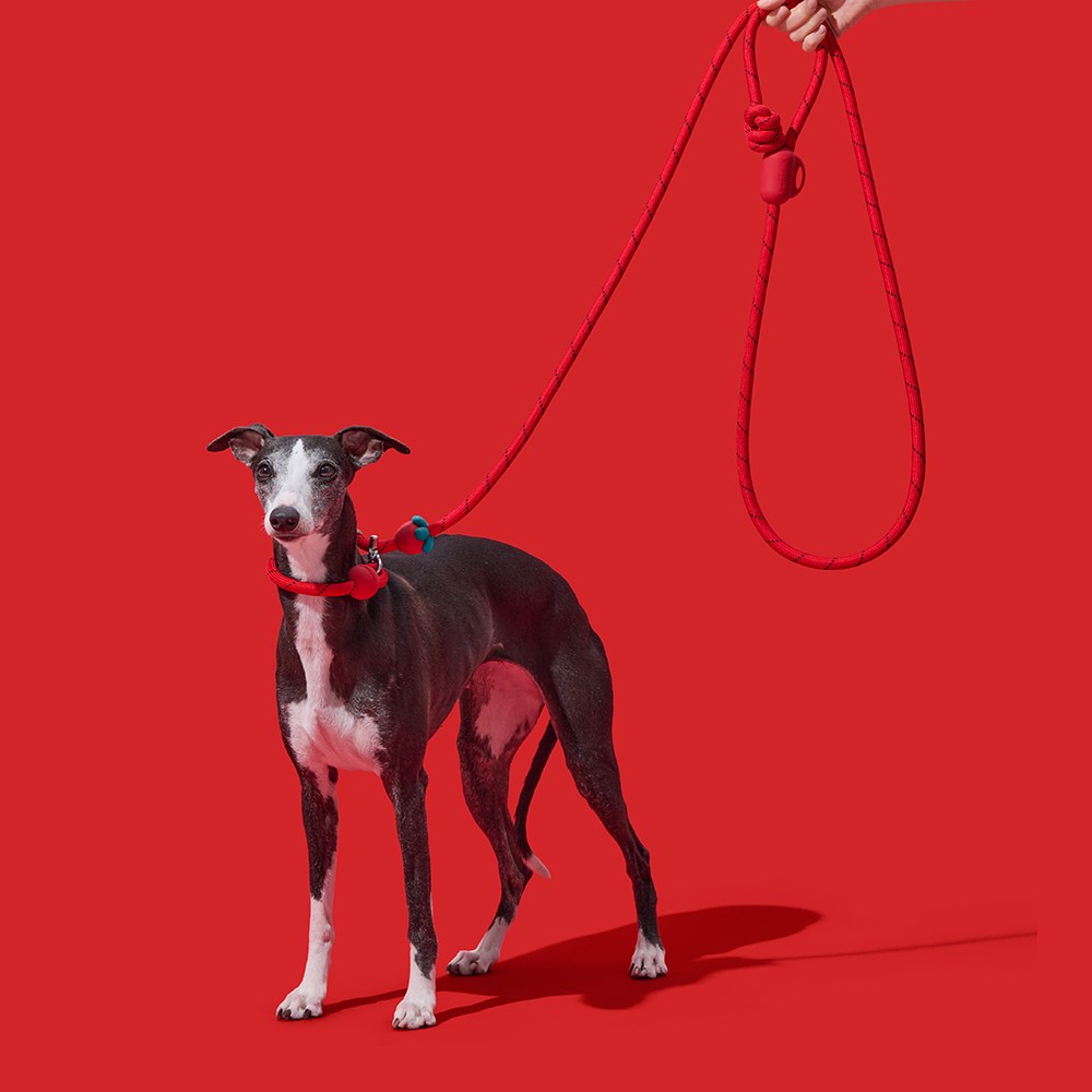 VETRESKA 커넥트 핸즈프리 로프 리드줄 (8COLORS), 1개, 스트로베리 45,000원