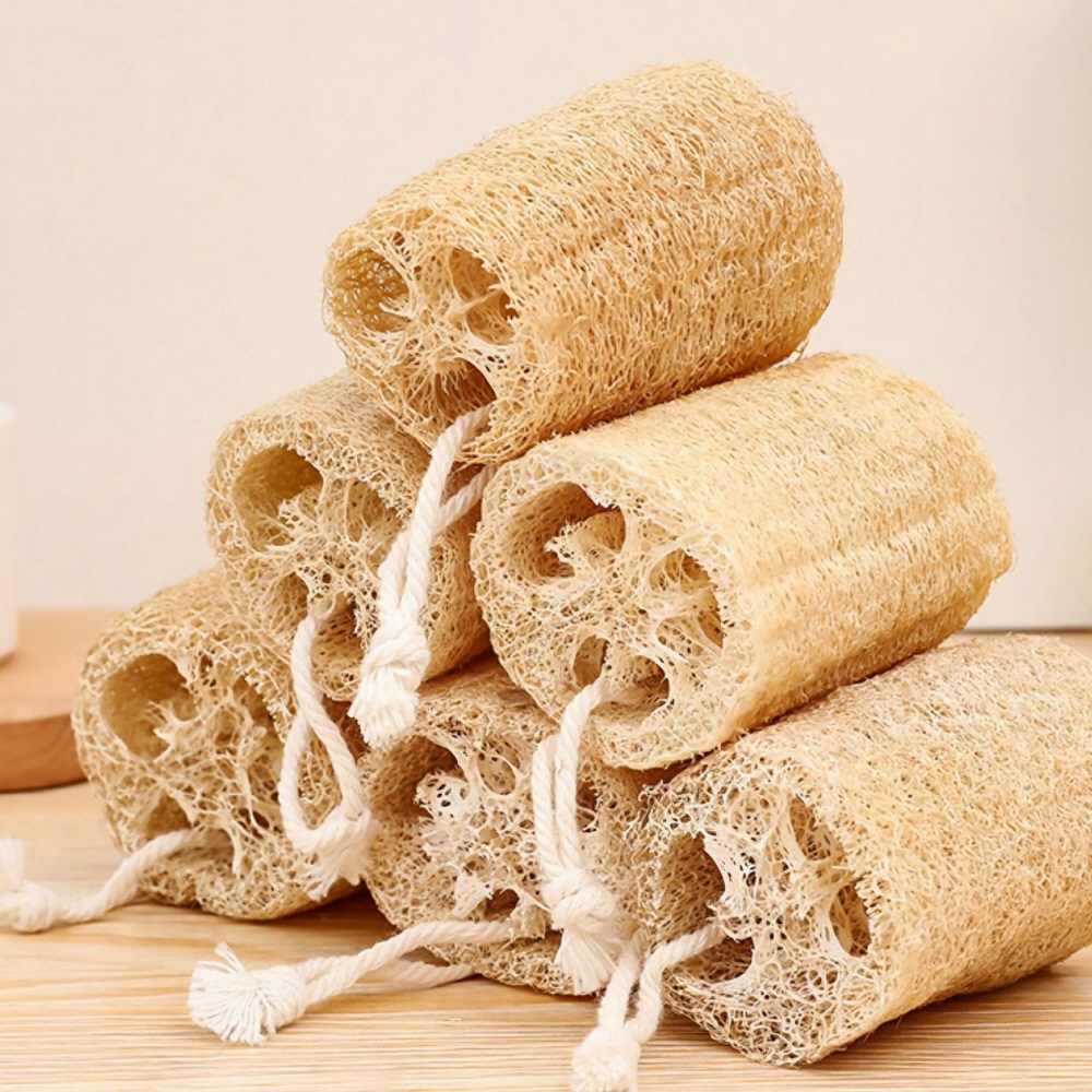 제로웨이스트 수세미열매 천연수세미 설거지수세미 고리형, 1개입, 1개 1,980원