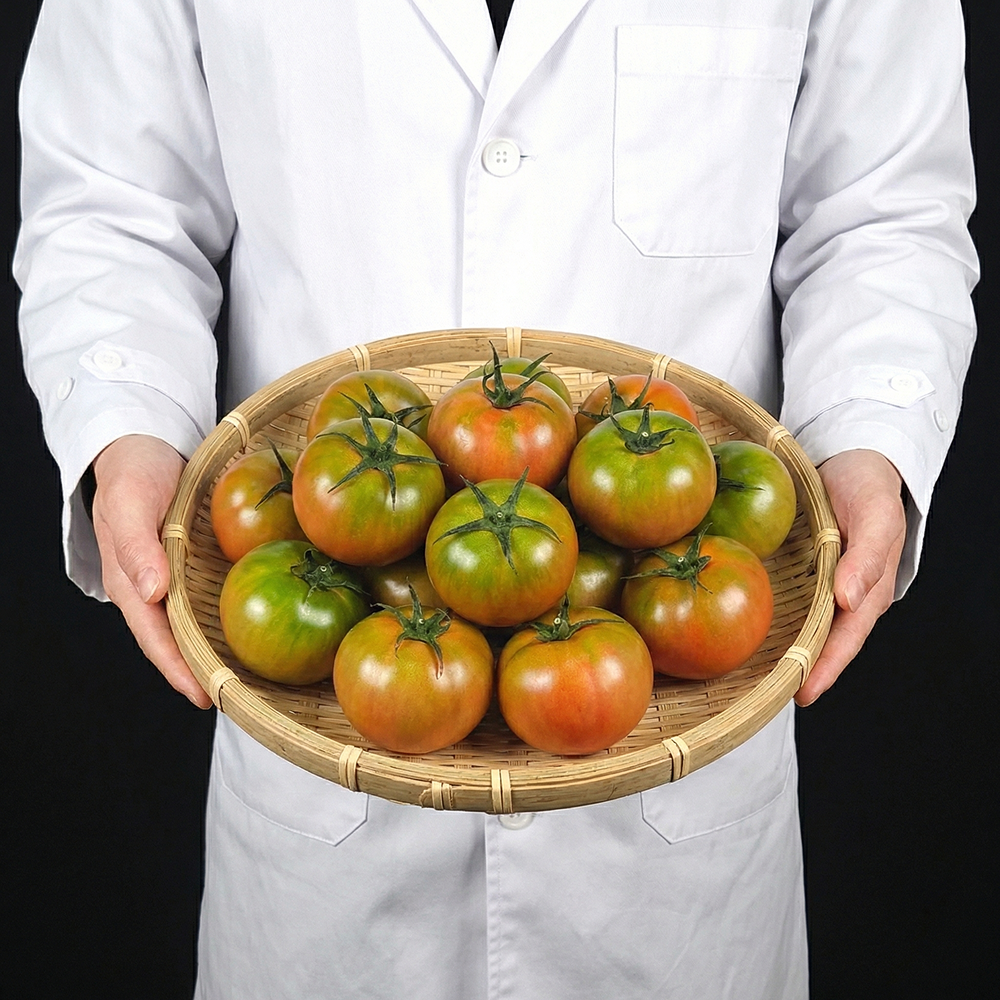 [당일수확] 산지직송 단짠단짠 짭짤이 대저토마토 26,900원