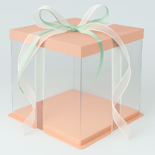 천운패키지 2단 투명 케익박스 2호 + 리본 랜덤발송 세트, 핑크, 1세트 5,100원