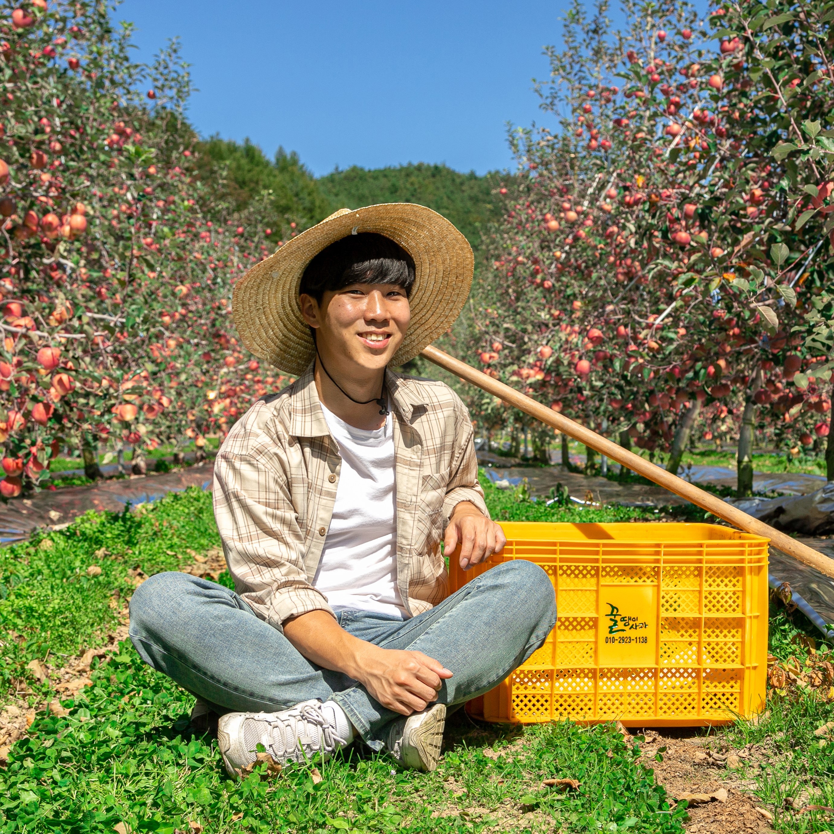 껍질째 온거로 먹는 청송 꿀땡이사과 햇부사 3kg 5kg 63,900원