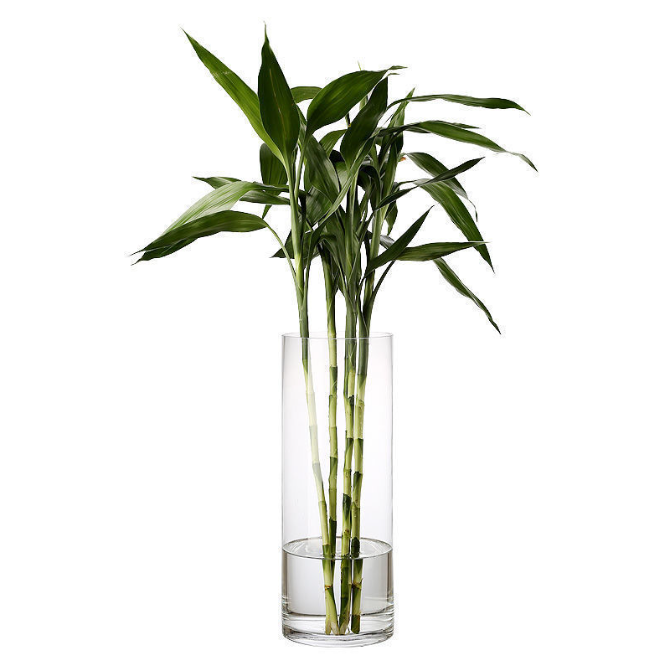 하이오브제 깨지지 않는 투명 대형 원통 화병 아크릴 어항 병 5,400원