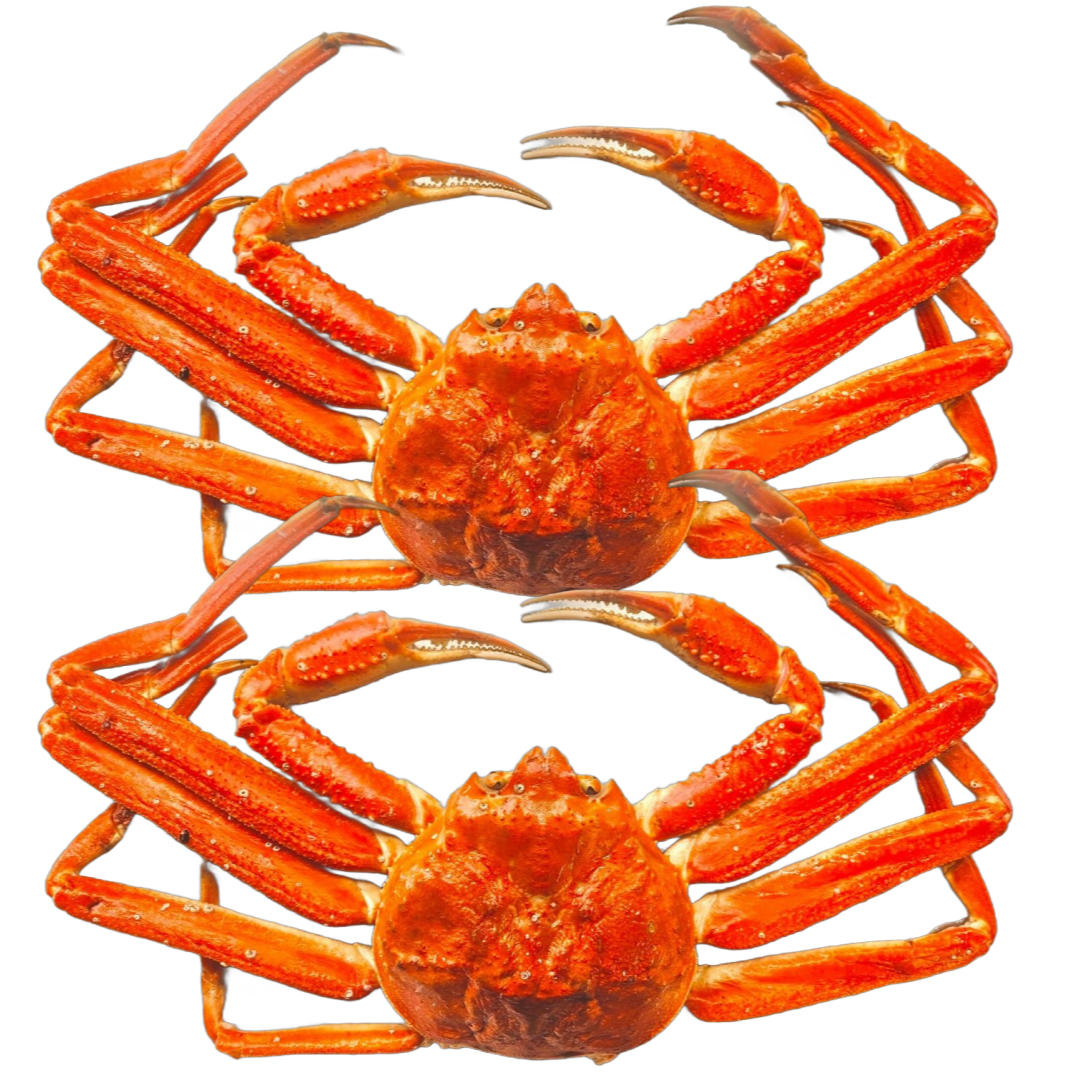 (오후2시이전주문/당일발송/내일도착) 자숙 대게 (찜)통대게 105,000원