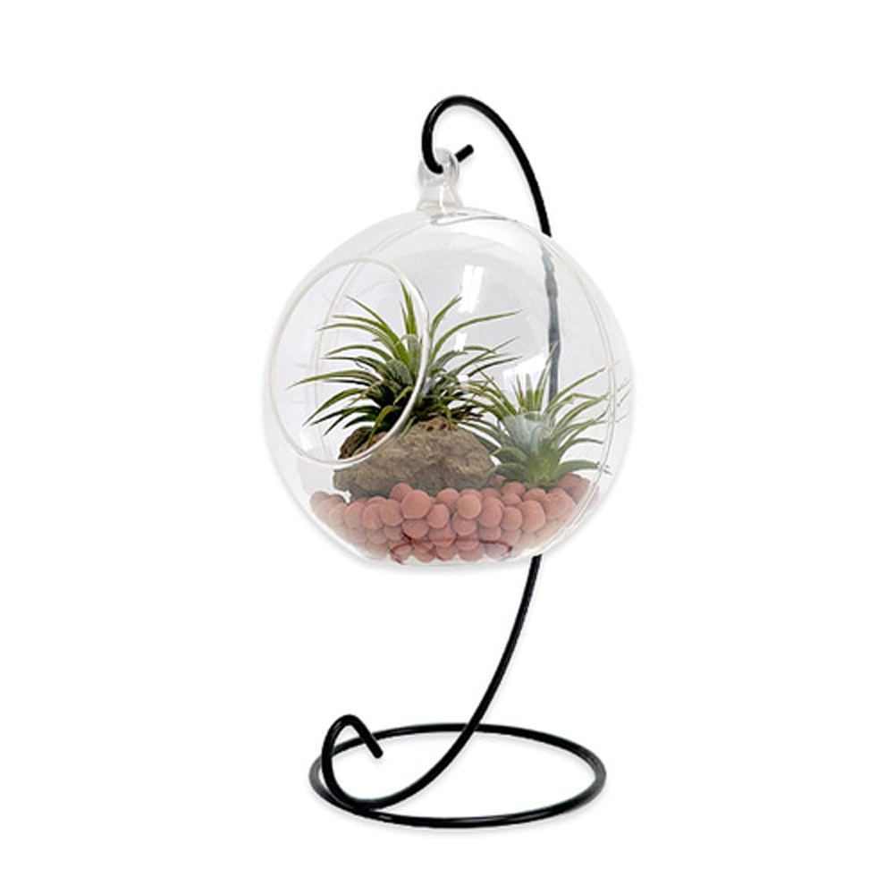 [토단] 트윈 이오난사 행잉 테라리움 1인세트 7,250원