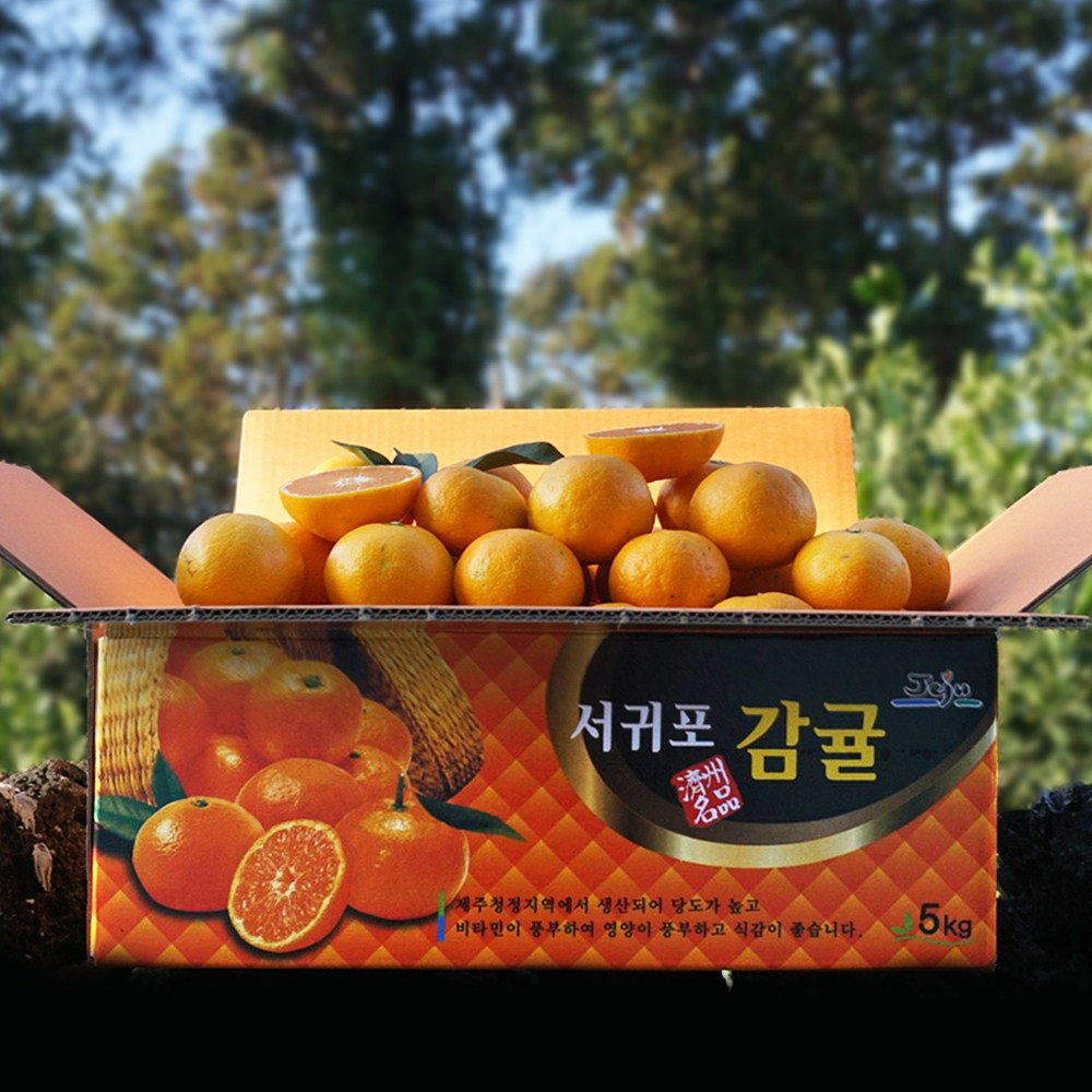 귤담원 제주 제철 감귤, 04.감귤 3kg 중대과(L/2L), 1박스 22,900원