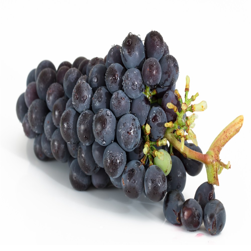 [타임특가] 금메달농수산 블랙세이블 블랙포도 22,400원