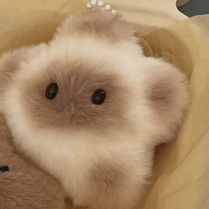 누누마켓 별가사리 햄찌 키링 햄스터 키홀더 털 2,900원