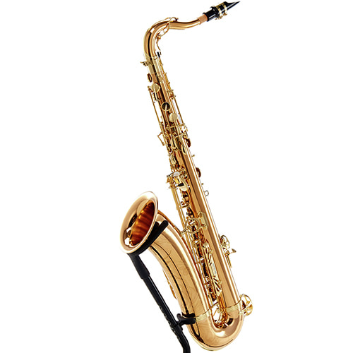 야나기사와 테너색소폰 T-WO20 테너 TWO20 브론즈 케이스 가방 마우스피스 입문자용 8,510,000원