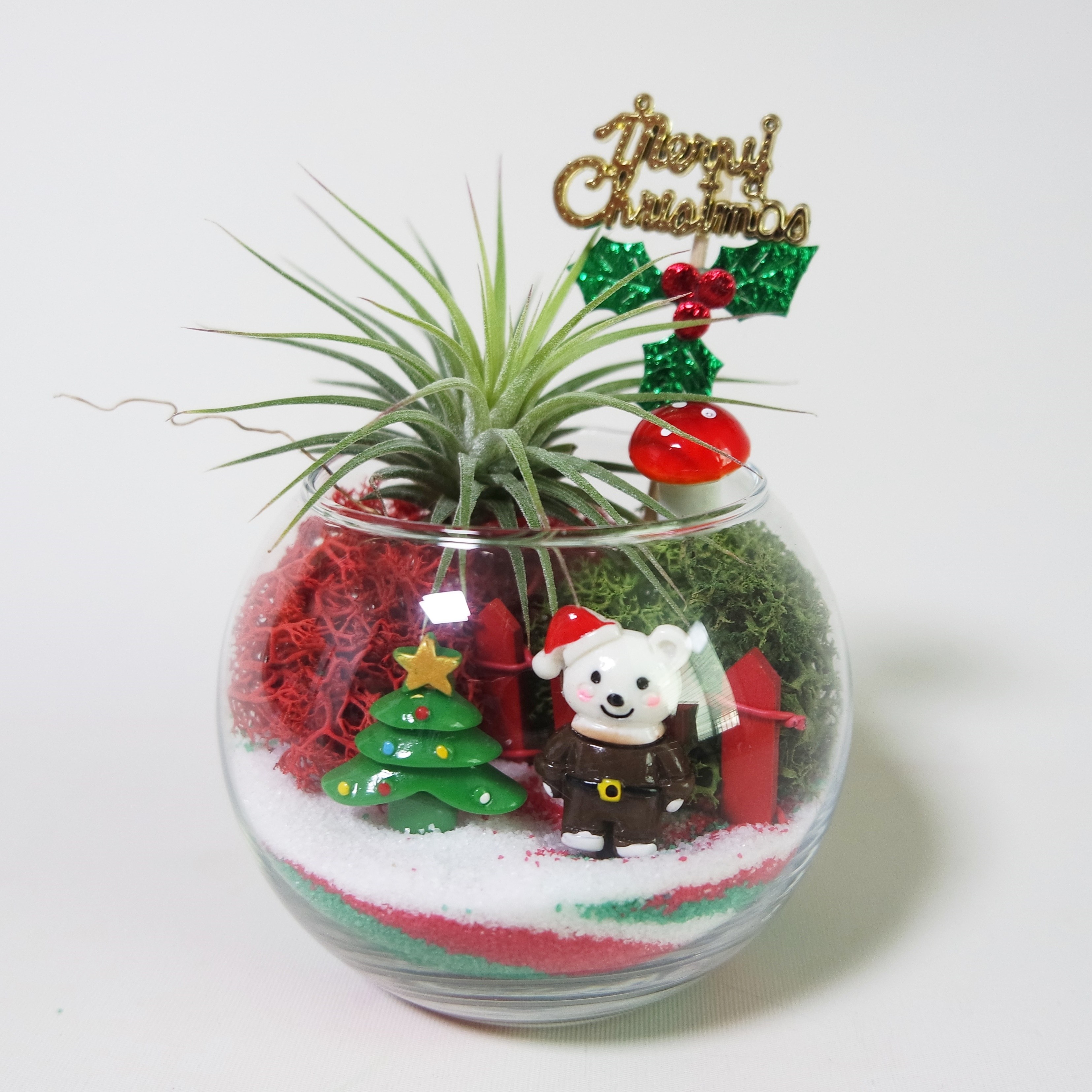 미니 크리스마스 테라리움 만들기 키트 (틸란드시아 포함), 1개 10,500원