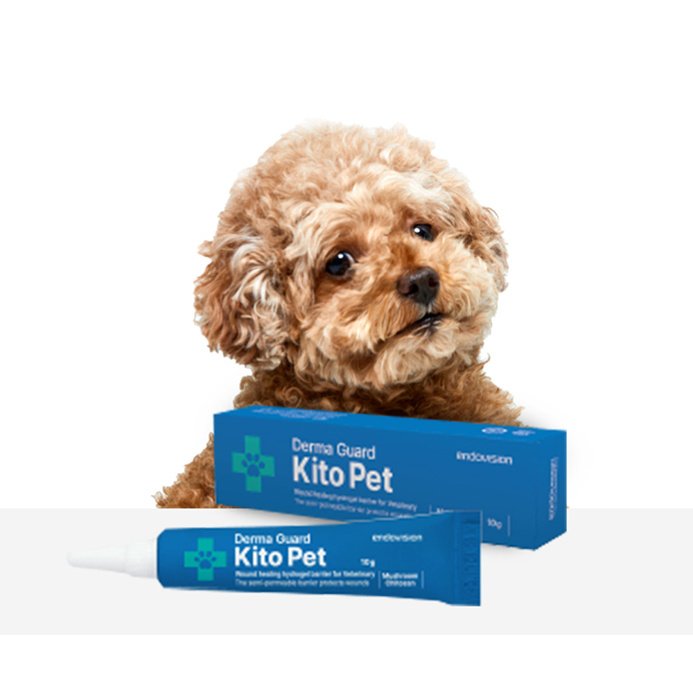 펫 스프레이 반려동물 피부진정 저자극 강아지 반려묘가려움증 완화 발바닥 습진케어 천연성분 32,500원