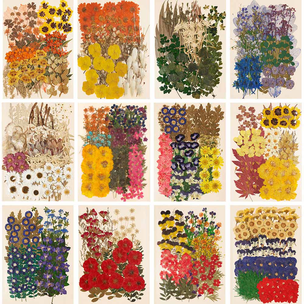 편지쓰는날 압화꽃모음, 01.1321-오렌지(대) 20,400원