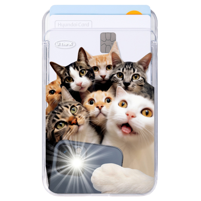 유스픽 디자인 맥세이프 슬라이드 투명 카드포켓, 105 셀프캣츠 셀피켓츠, 1개 9,270원