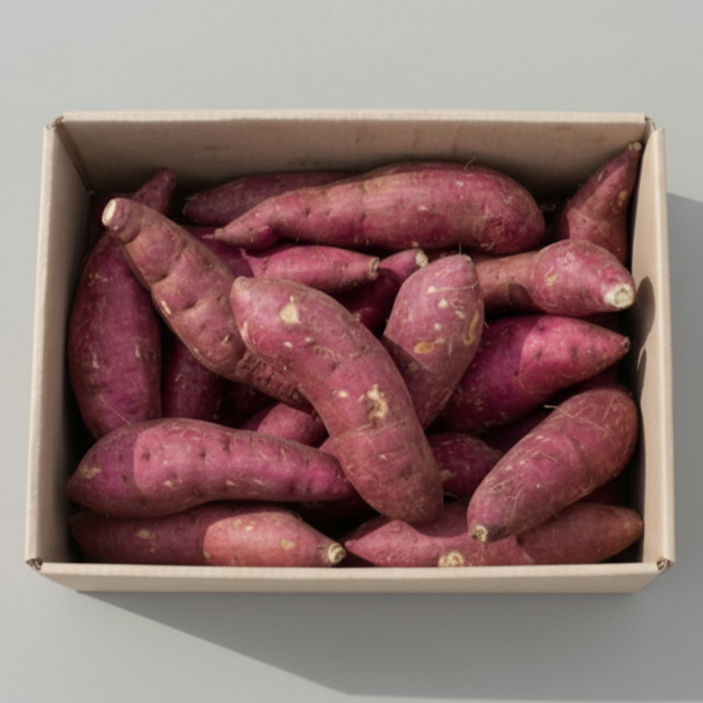 해남 못난이 고구마 꿀고구마, 1개, 10kg 21,000원