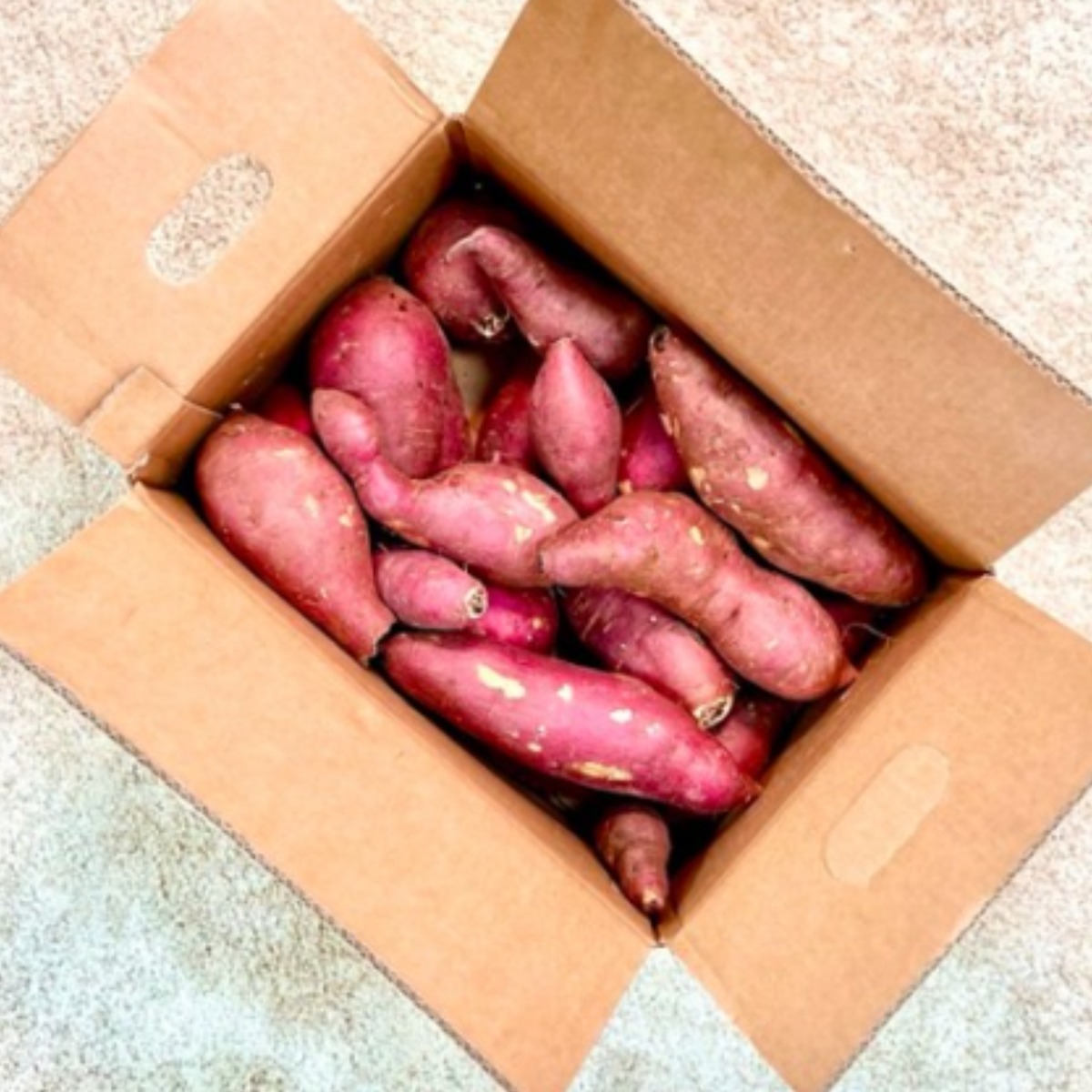 파머스넷 해남 꿀고구마 32,490원