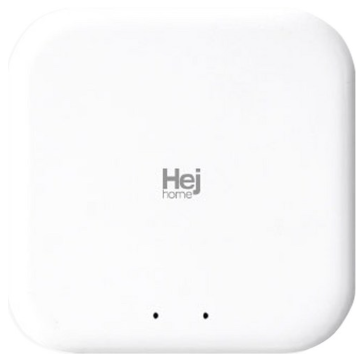 헤이홈 스마트 허브 Air 실내용, (50개 장치 지원)GKZ-GW191, 1개 63,700원