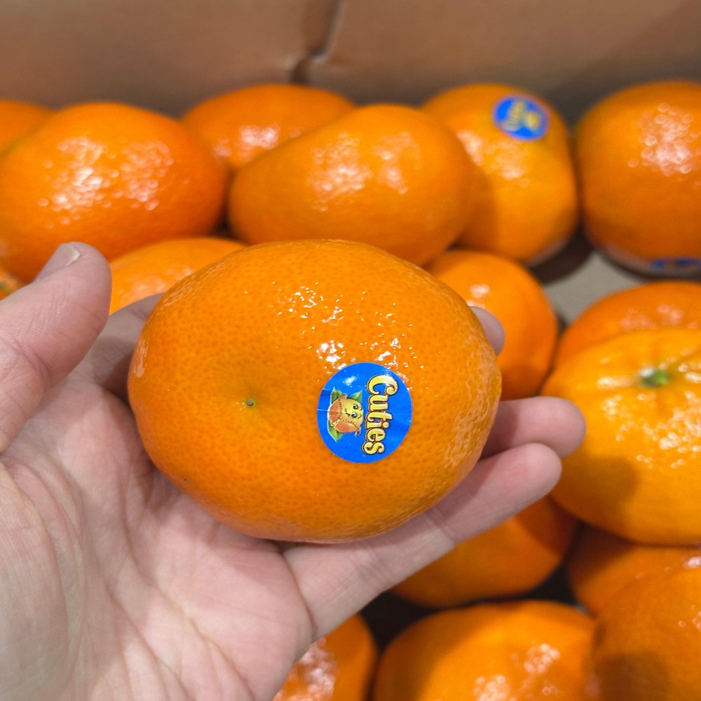 일등농수산 정품 만다린 감귤 로얄과, 1개, 1kg 혼합 9,900원