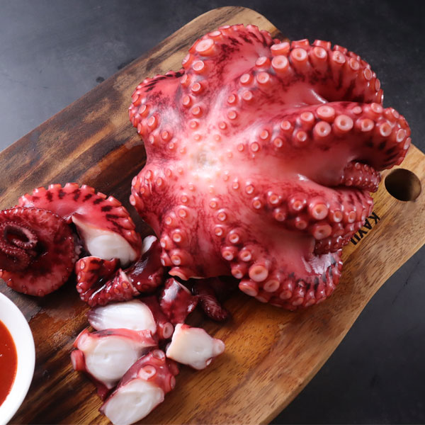 필리핀 손질 자숙 문어 데친문어 제수용 900g급, 1개, 900g 급 27,900원