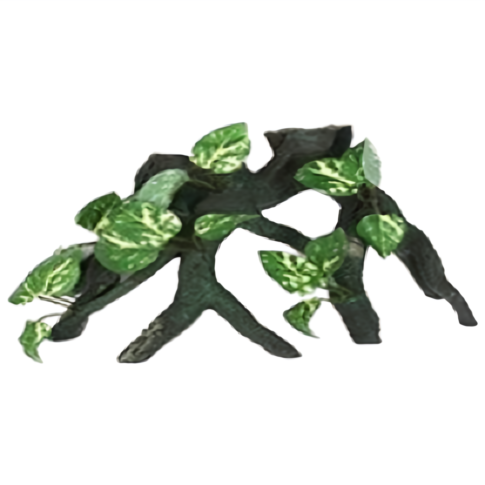 [클레오레] 내츄럴 가지유목 5가지 / 파충류용품 / 파충류유목 / 도마뱀유목 / 사육장장식 / 도마뱀은신처 / 파충류은신처 / 절지류은신처 / 나무장식 / 도마뱀용품 / 파충류나, 1개 13,000원