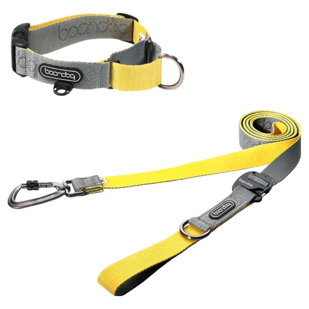 분독 강아지 카라비너 플레이 리쉬 320cm + 마틴게일 목줄 세트, 그레이레몬, 1세트 83,600원