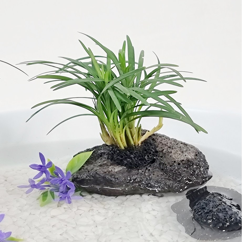 꼬모가든 화산석 수초 애란 어항 수조 수반장식 소품 수경재배 식물 미니연못 꾸미기 홈가드닝 19,900원