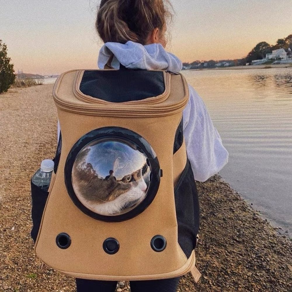 초대형 고양이 배낭 애완 동물 나들이 휴대용 대형 고양이 배낭 우주 캡슐 팩 코기 시바견 51,700원