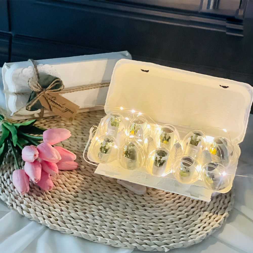 러블리팜 에그머니박스 10구 + LED 조명 + 왕관 스티커 23,960원