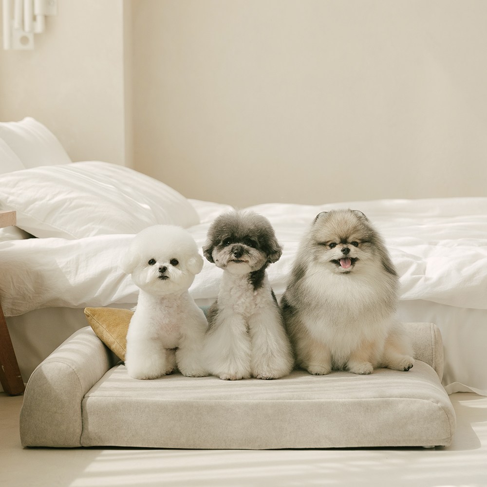 펫더팬 프리미엄 강아지 고양이 애견 침대 소파 방석 슬개골 보호, 소프트 크림, 1개 189,000원