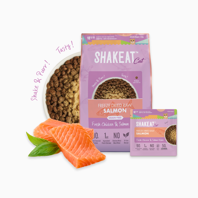 쉨잇 캣 동결건조 연어와 프레시 치킨 1.2kg, 연어, 1.2kg, 1개 22,000원