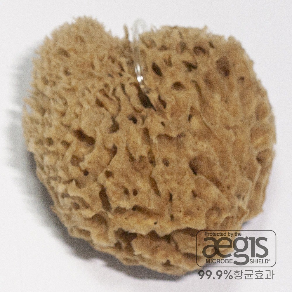 베베캐슬코리아 천연해면 그리스산 항균 아기목욕 스펀지 최상급해면, 칼림노스L, 1개 24,080원