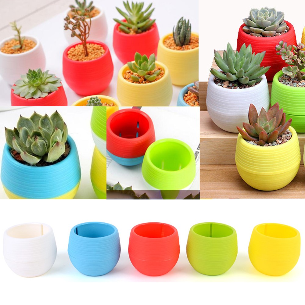 골든트리 미니 칼라 원형 물받침 플라스틱 화분 중형 다육화분 실내화분 4,800원