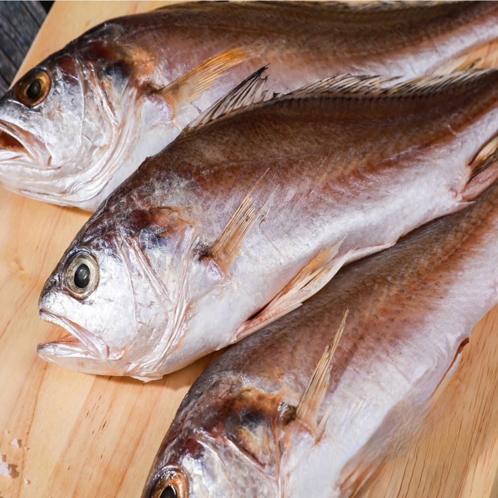 반건조 침조기 손질되어 먹기 편한 신안 천일염으로 간이 된 침조기 긴가이석태 6마리 또는 10마리 말린생선, 23~24cm 10마리, 1개 27,000원