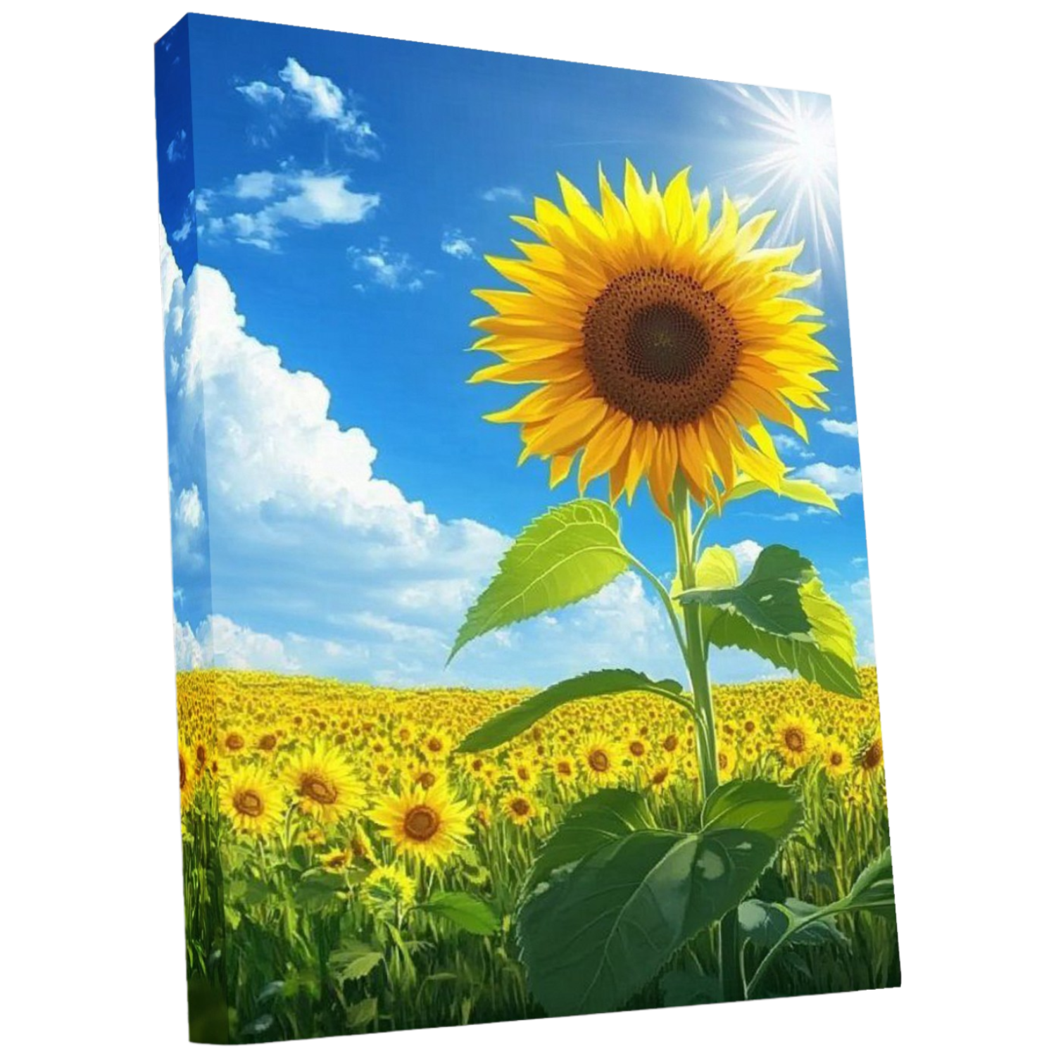 뉴타임즈 3D 보석십자수 벽화 50X40cm DIY 키트 캔버스형 액자 홈 인테리어 특별한 선물 모자이크 십자수 모자이크 보석 20,000원