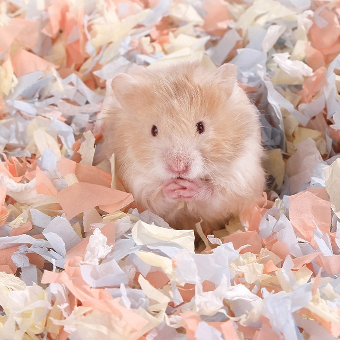YooPet 먼지없는 예쁜 햄스터 베딩 10L 13,800원