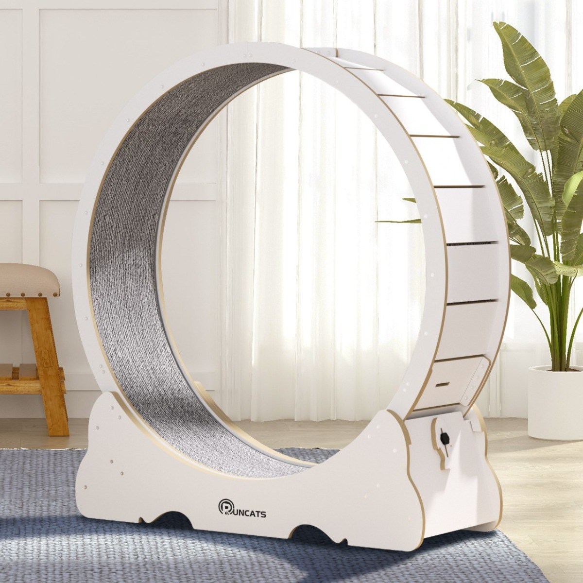 런캣 캣휠 롤러 실내사용 고양이 운동훈련 헬스 캣휠 원목색 다양한 133,900원