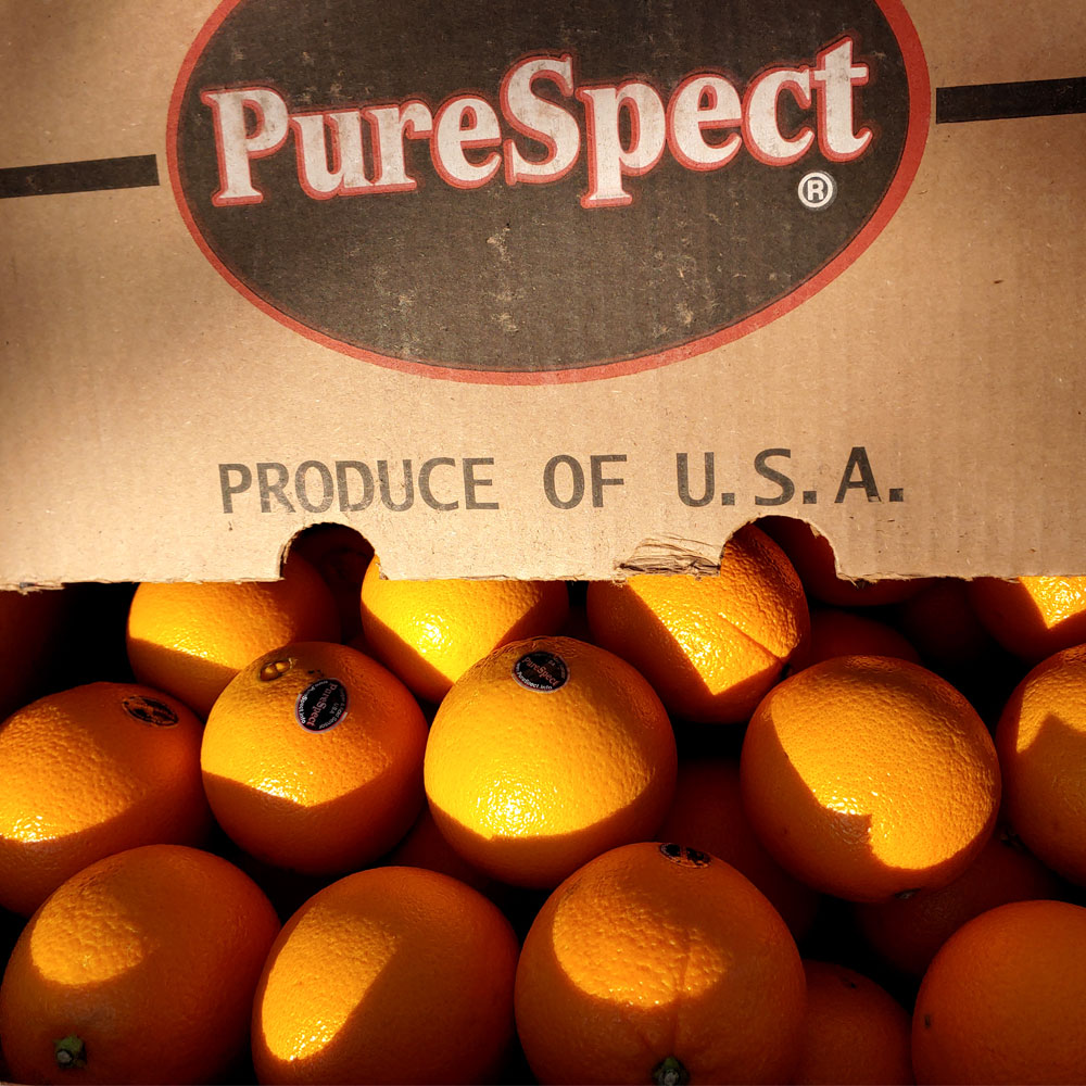 퓨어스펙 블랙라벨 고당도 오렌지 99,900원